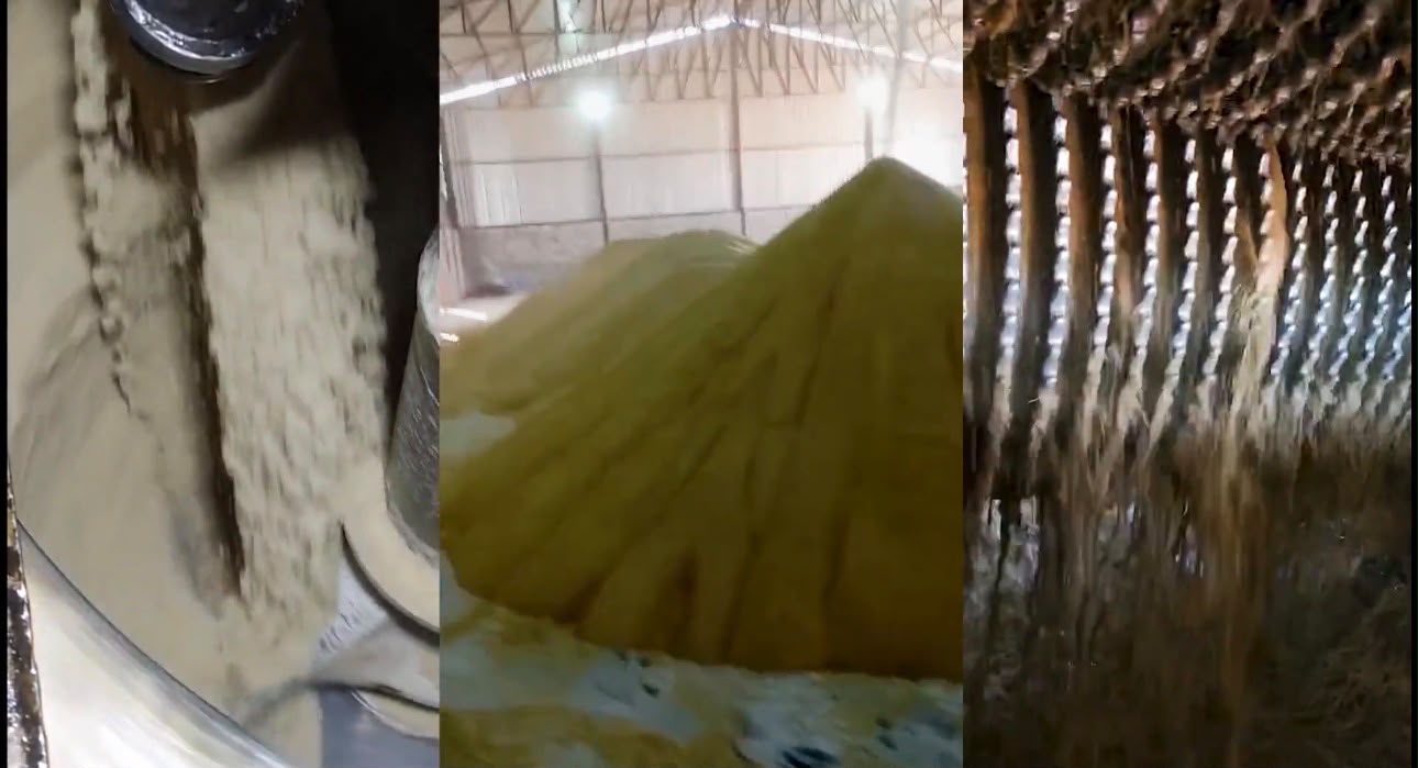 Crystallization discharge, bulk sugar pile and gravity drying line inside the mill
